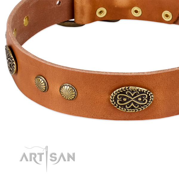 Corrosion resistant adornments on full grain natural leather dog collar for your four-legged friend