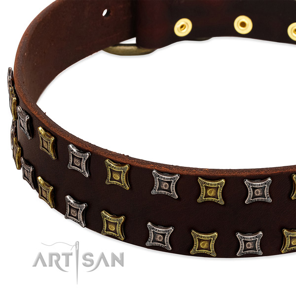 Strong genuine leather dog collar for your impressive dog