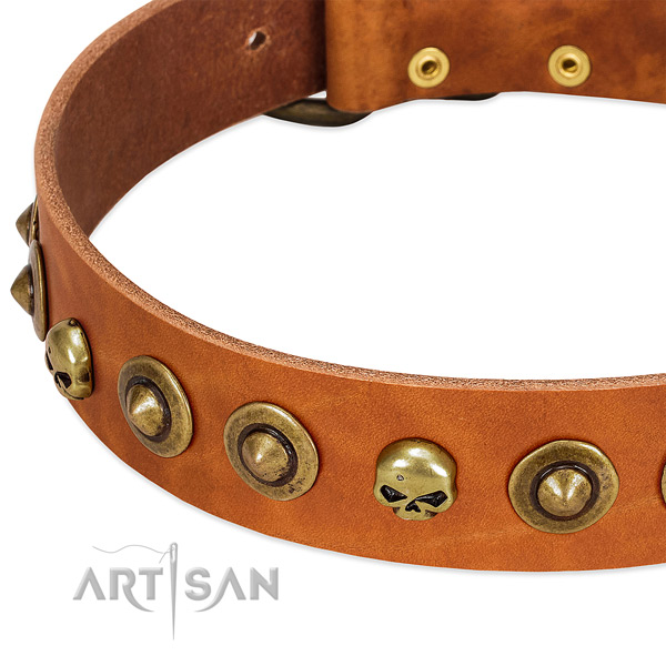 Exquisite studs on full grain leather collar for your four-legged friend