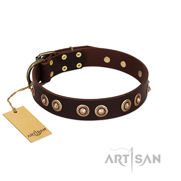 Rust-proof buckle on natural genuine leather dog collar for your pet
