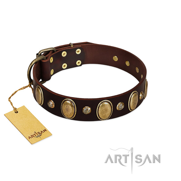 Full grain leather dog collar of soft to touch material with unusual embellishments