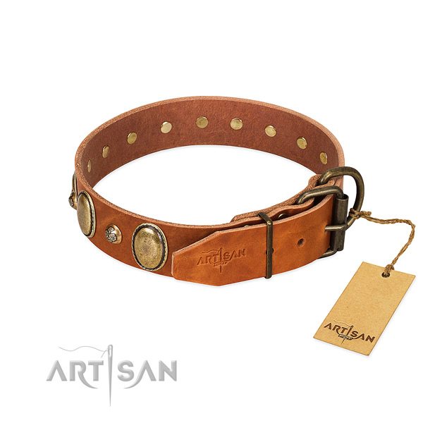 Perfect fit full grain natural leather dog collar with corrosion resistant fittings