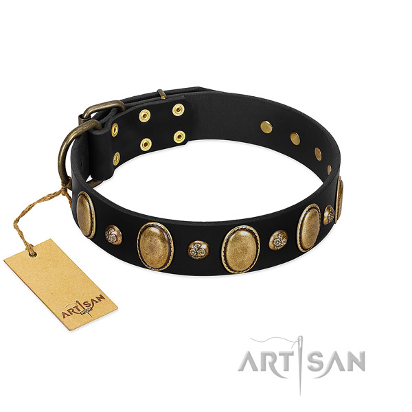 Leather dog collar of gentle to touch material with inimitable adornments