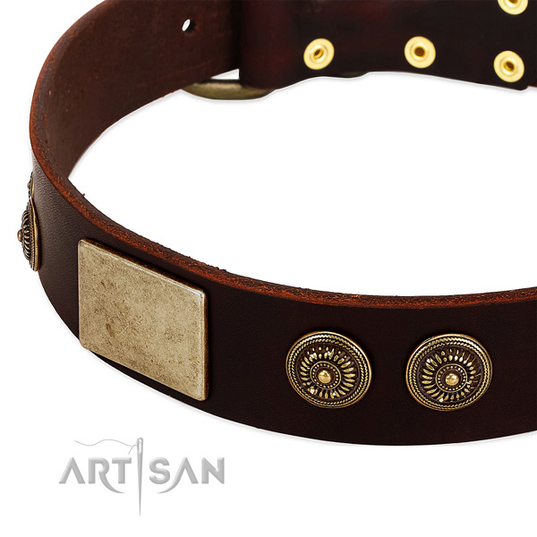 Rust-proof hardware on full grain genuine leather dog collar for your four-legged friend