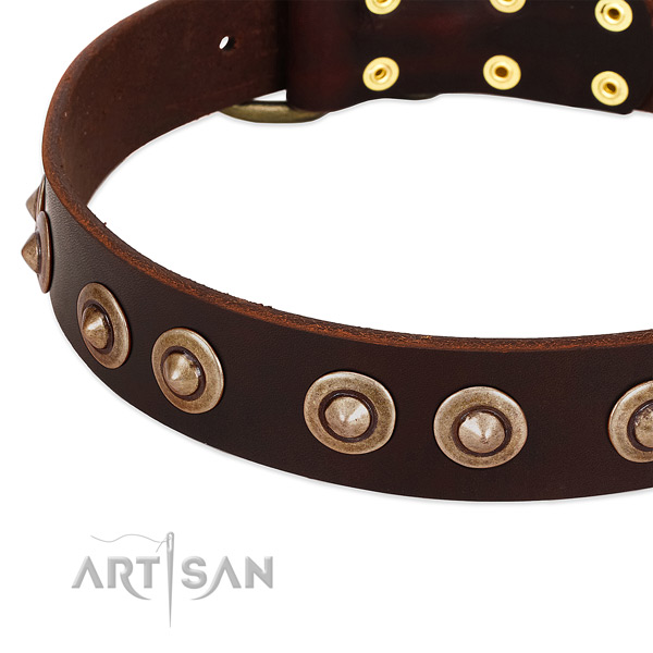 Rust-proof studs on leather dog collar for your pet