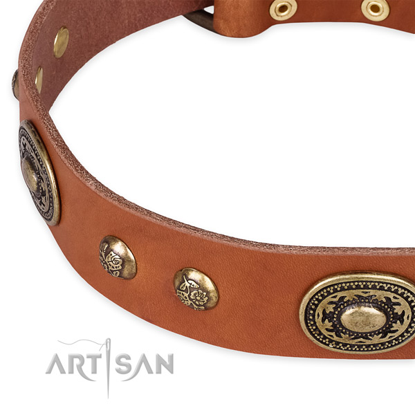 Amazing full grain natural leather collar for your impressive doggie