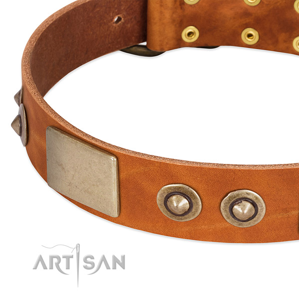 Corrosion proof hardware on genuine leather dog collar for your dog