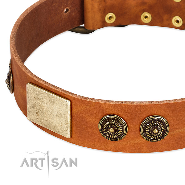 Extraordinary dog collar made for your stylish pet