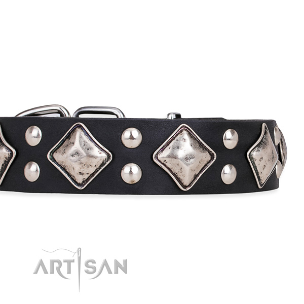 Natural leather dog collar with amazing corrosion proof embellishments