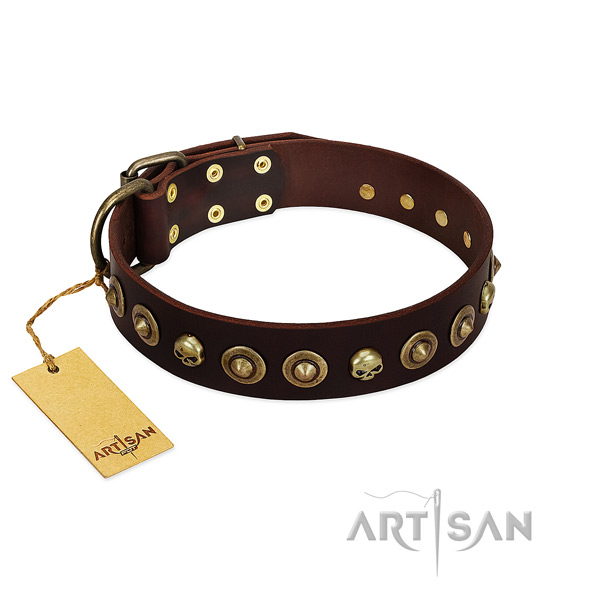 Full grain leather collar with significant studs for your four-legged friend