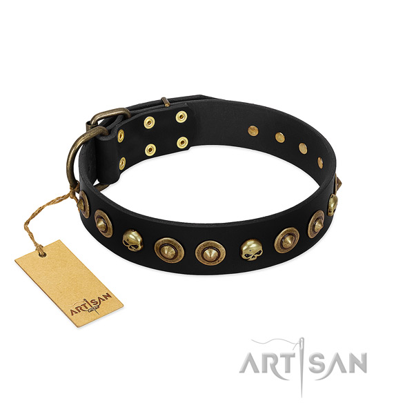 Genuine leather collar with top notch adornments for your dog