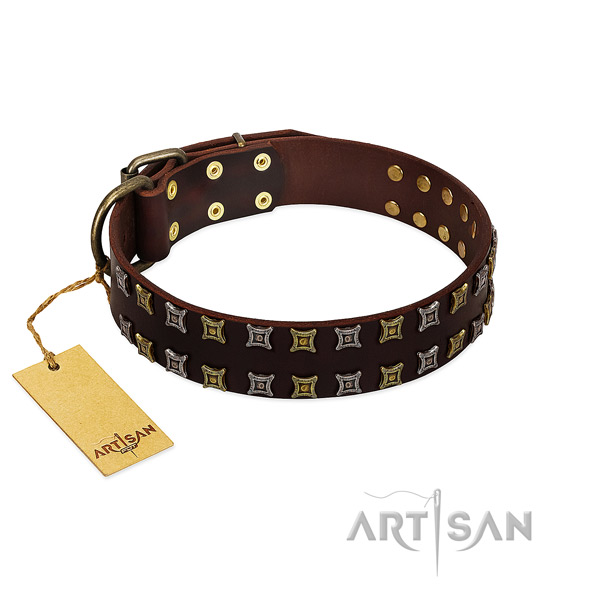 Best quality genuine leather dog collar with embellishments for your dog