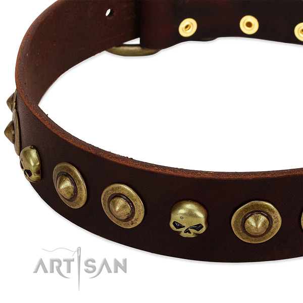 Stylish studs on full grain genuine leather collar for your pet