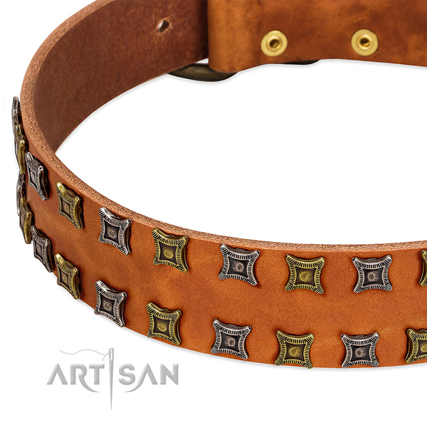Durable leather dog collar for your impressive canine