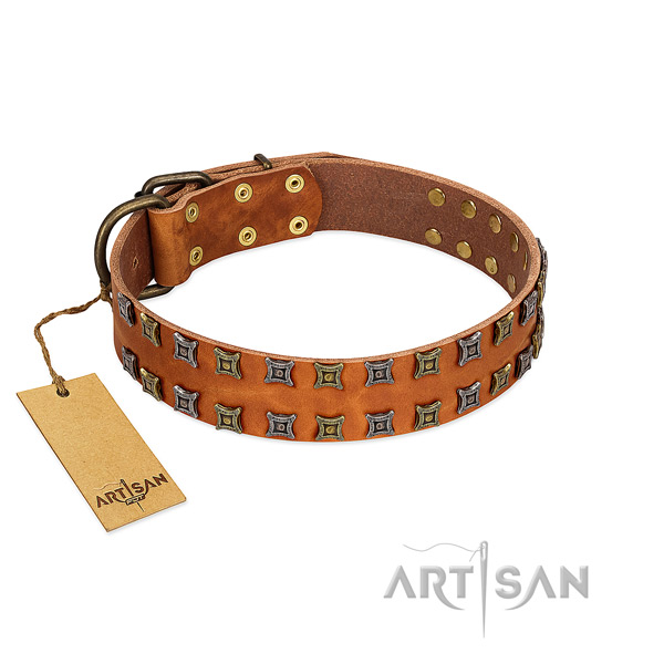 Soft leather dog collar with adornments for your dog