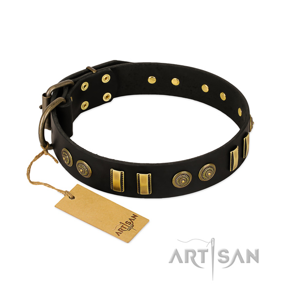 Reliable hardware on genuine leather dog collar for your canine
