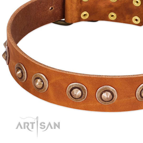 Corrosion resistant adornments on leather dog collar for your canine