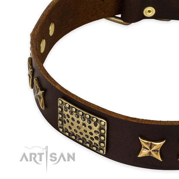 Full grain natural leather collar with durable D-ring for your lovely canine