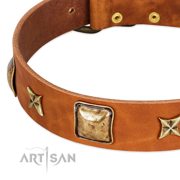 Reliable hardware on natural genuine leather dog collar for your four-legged friend