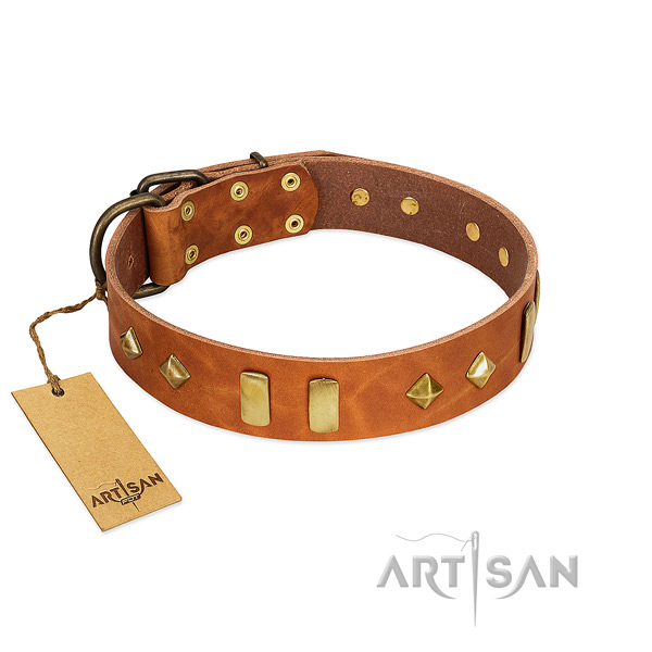 Daily use soft to touch genuine leather dog collar with studs