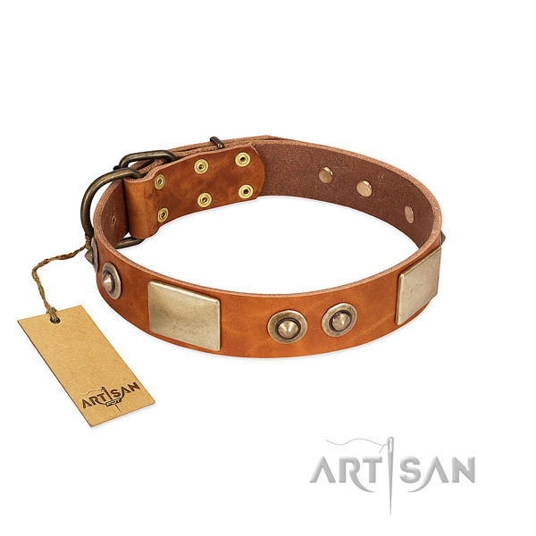 Adjustable full grain genuine leather dog collar for stylish walking your pet