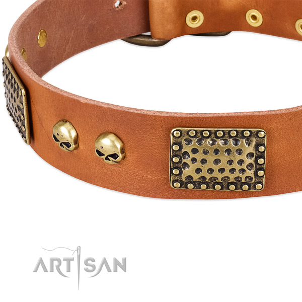 Corrosion proof adornments on full grain leather dog collar for your pet