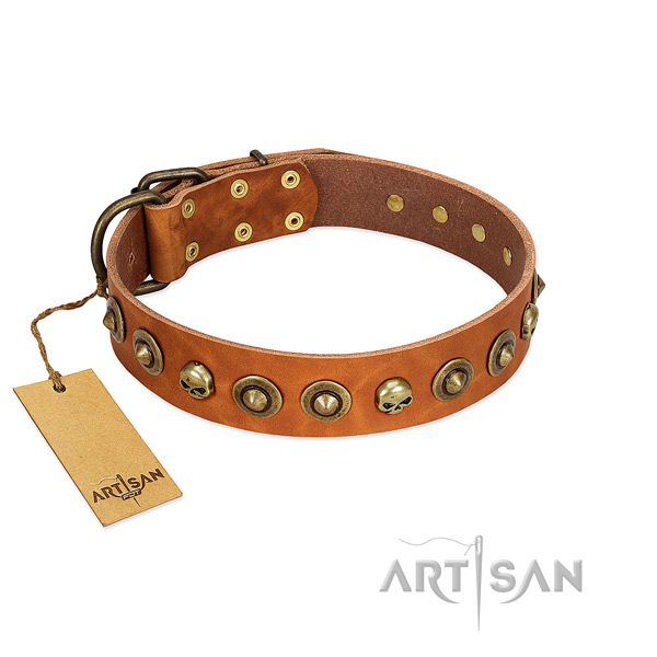 Full grain genuine leather collar with exceptional embellishments for your four-legged friend