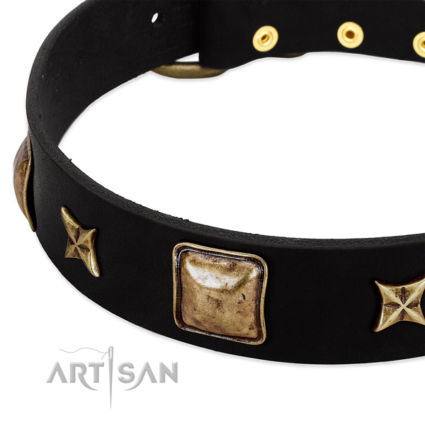 Full grain leather dog collar with trendy adornments