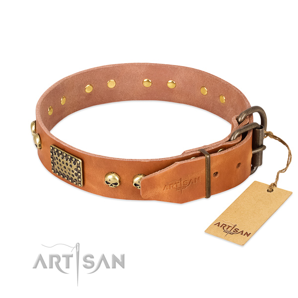 Rust-proof traditional buckle on daily walking dog collar