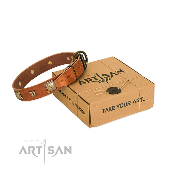 Incredible leather collar for your stylish pet