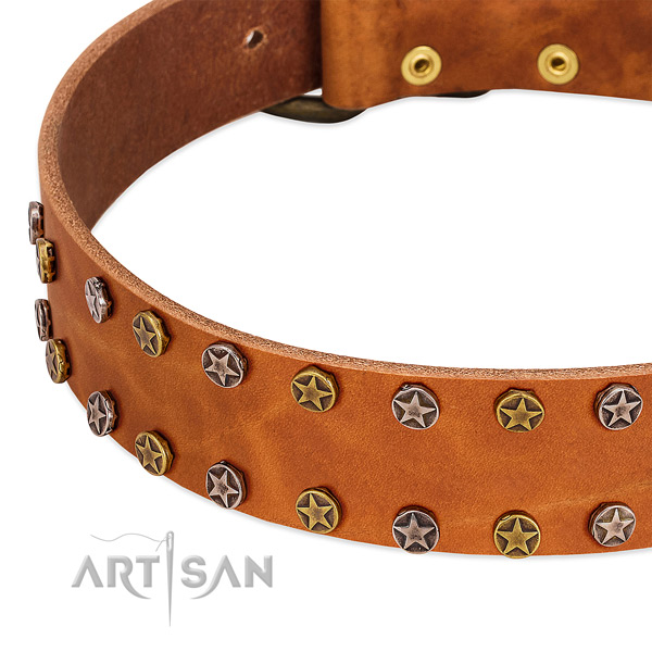 Walking leather dog collar with designer decorations