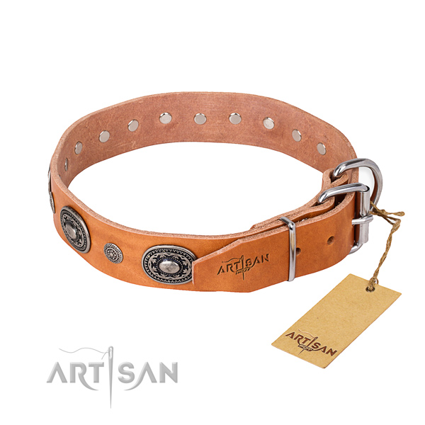 Durable leather dog collar handcrafted for everyday walking
