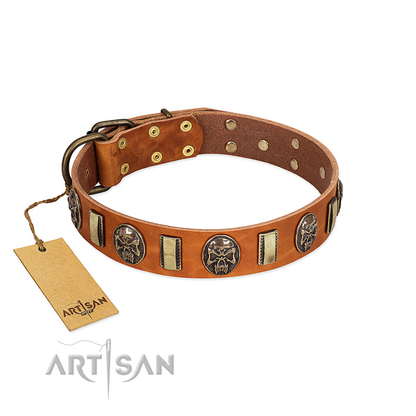 Exceptional genuine leather dog collar for stylish walking