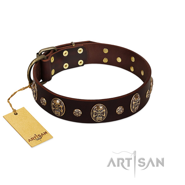 Handcrafted genuine leather collar for your dog