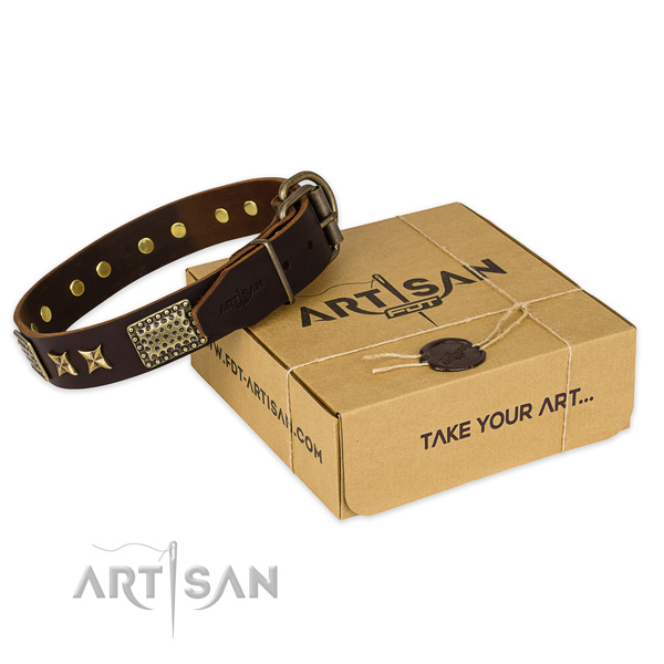 Reliable hardware on full grain genuine leather collar for your attractive four-legged friend