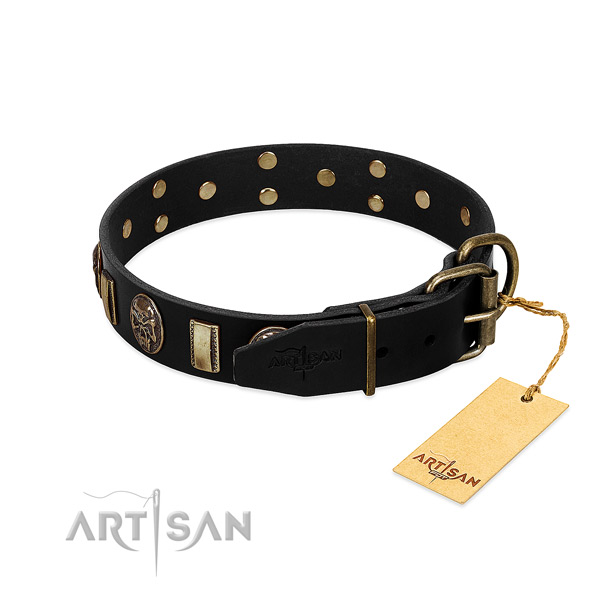 Full grain genuine leather dog collar with corrosion resistant fittings and embellishments