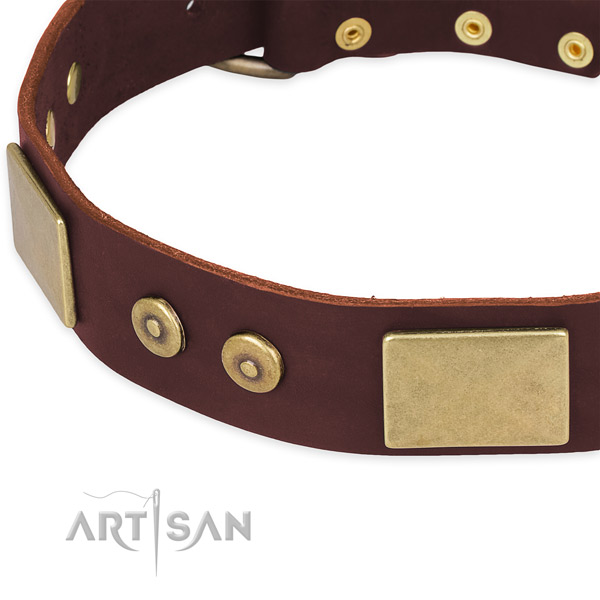 Leather dog collar with decorations for everyday use