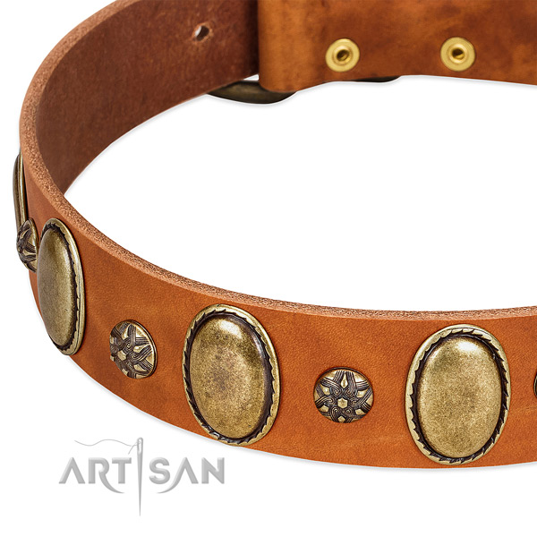 Comfy wearing quality genuine leather dog collar