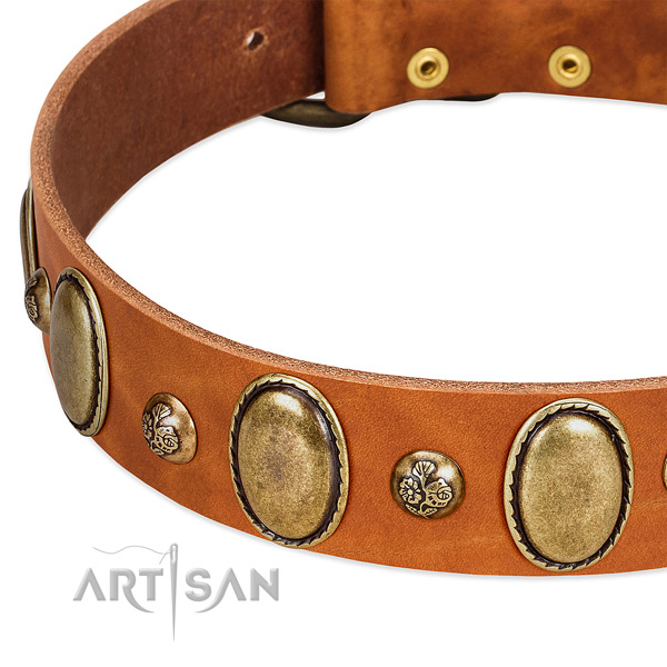 Full grain genuine leather dog collar with unusual decorations
