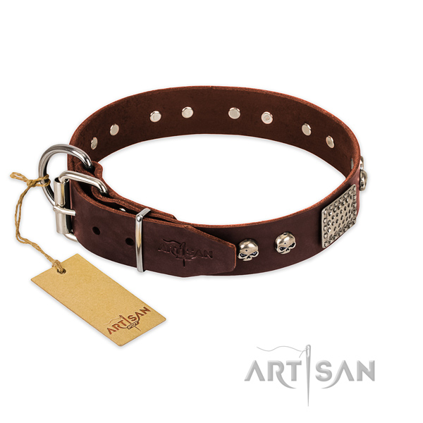 Corrosion resistant traditional buckle on easy wearing dog collar