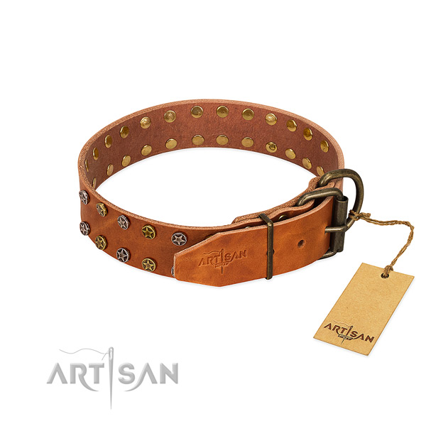 Stylish walking full grain natural leather dog collar with impressive studs