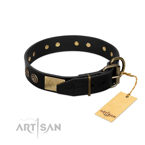 Durable buckle on leather dog collar for your four-legged friend