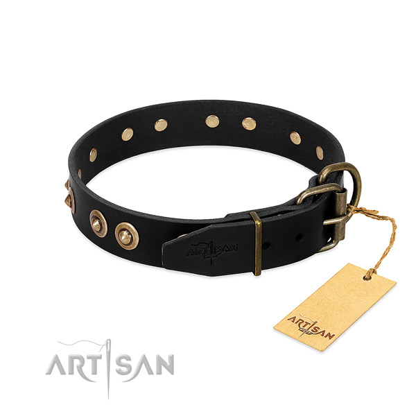 Rust resistant decorations on full grain leather dog collar for your pet