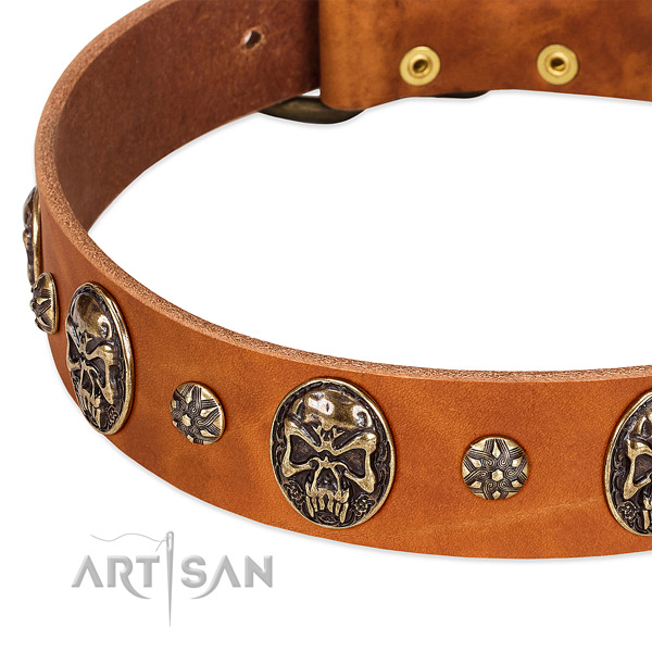 Rust resistant D-ring on leather dog collar for your doggie