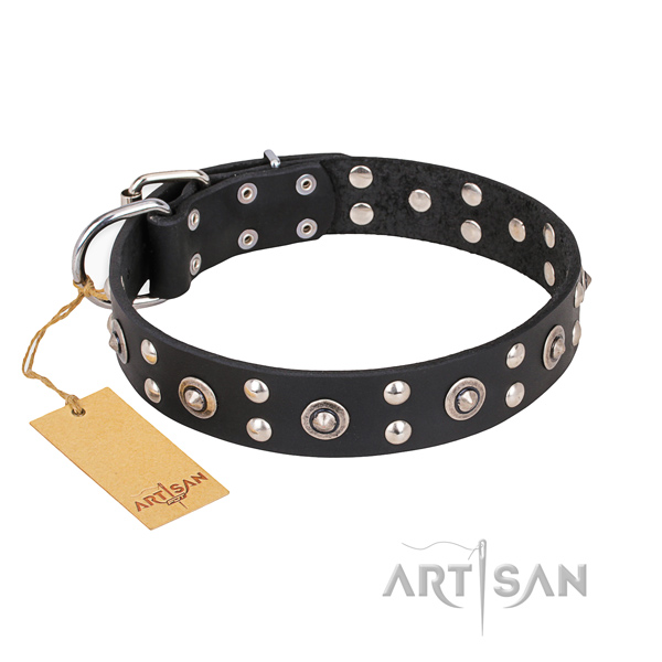 Easy wearing stylish dog collar with rust resistant buckle