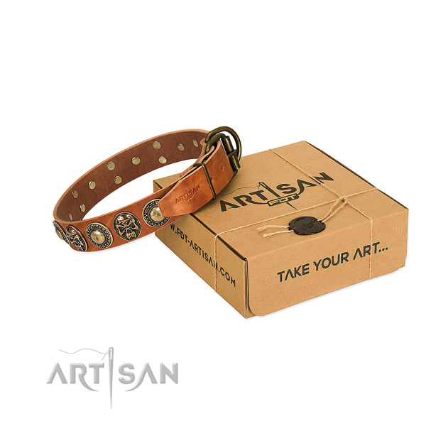 Reliable adornments on dog collar for stylish walking
