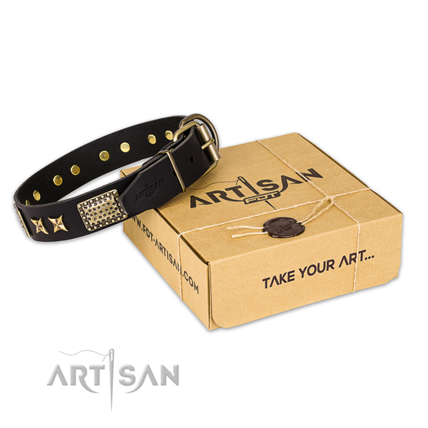 Durable fittings on full grain genuine leather collar for your stylish doggie