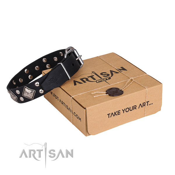 Daily use dog collar with Inimitable durable embellishments