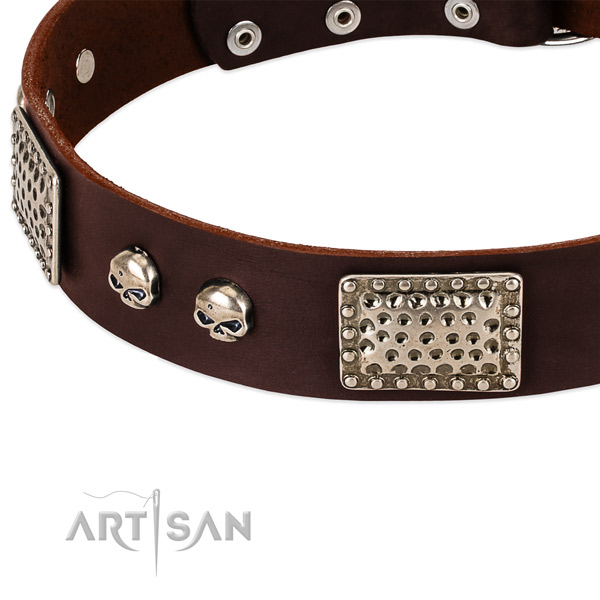 Corrosion proof hardware on natural genuine leather dog collar for your pet
