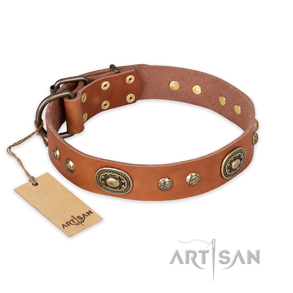 Trendy full grain leather dog collar for walking